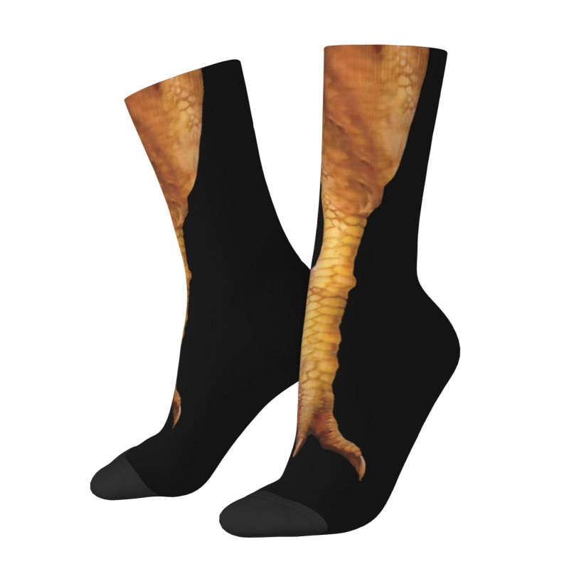 닭 발 발가락 남성용 크루 양말 남녀공용 재미있는 봄  - Dress Sock Men 리뷰 및 가격
